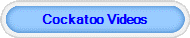 Cockatoo Videos