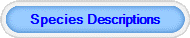 Species Descriptions